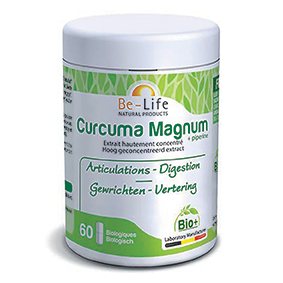 Curcuma Magnum 3200 + piperine Bio 60 gél.